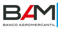 Logo de BAM